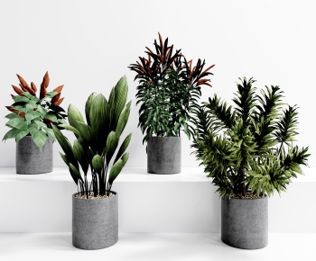Modern Potted Green Plant-ID:319495928