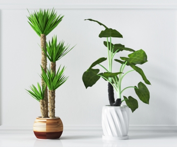 Modern Potted Green Plant-ID:878041989