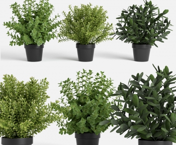 Modern Potted Green Plant-ID:225231899