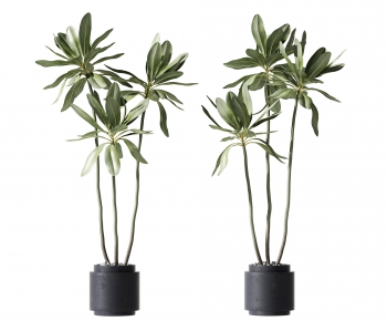 Modern Potted Green Plant-ID:876022105