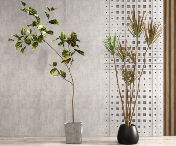 Modern Potted Green Plant-ID:138580089