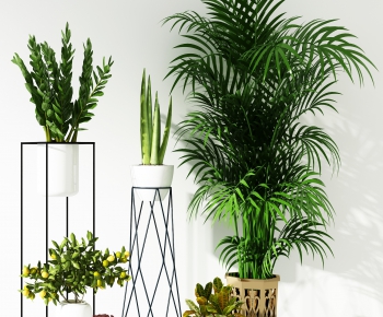 Modern Potted Green Plant-ID:140651946