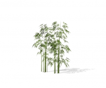 Modern Bamboo-ID:428853036