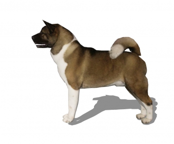 Modern Animal Dog-ID:747169979