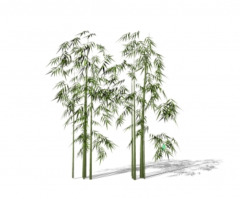 Modern Bamboo-ID:939512976