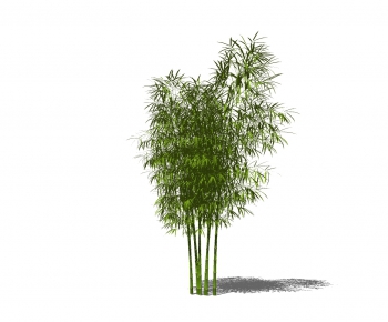 Modern Bamboo-ID:853832012
