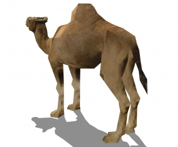 现代单峰骆驼-ID:619723088