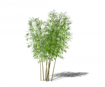 Modern Bamboo-ID:448604111