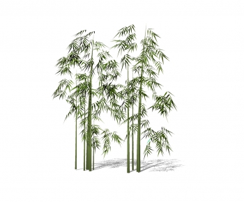 Modern Bamboo-ID:763839012