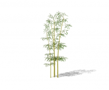 Modern Bamboo-ID:278126967