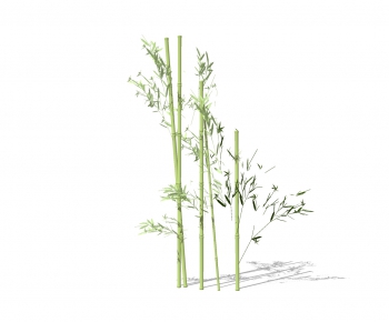 Modern Bamboo-ID:396064046