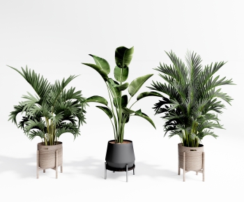 Modern Potted Green Plant-ID:917666914