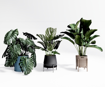 Modern Potted Green Plant-ID:275955922