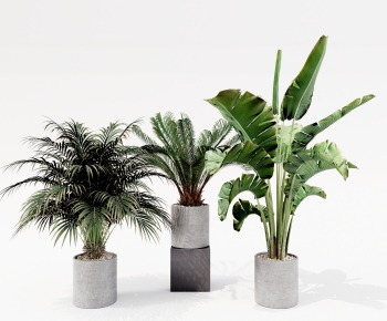 Modern Potted Green Plant-ID:553839924