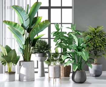 Modern Potted Green Plant-ID:375144966