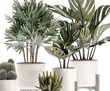 Modern Potted Green Plant-ID:405901913
