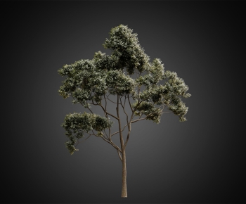 Modern Tree-ID:178988939