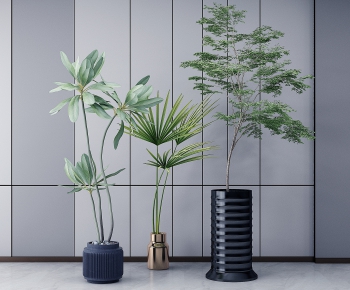 Modern Potted Green Plant-ID:222496999