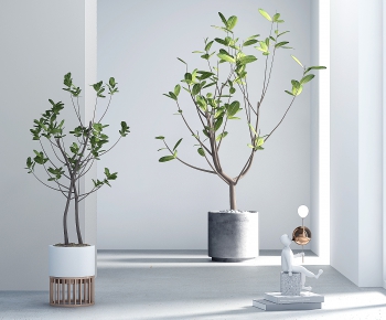 Modern Potted Green Plant-ID:224710943