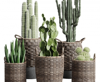 Modern Potted Green Plant-ID:934534071