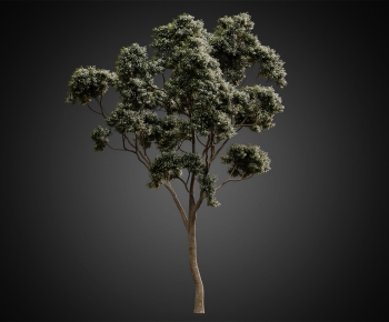 Modern Tree-ID:921514032