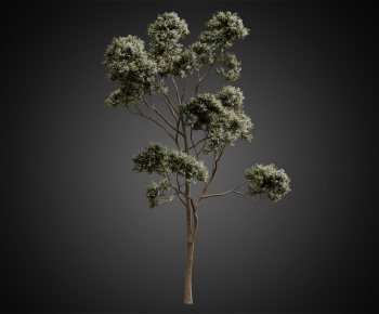 Modern Tree-ID:944509589