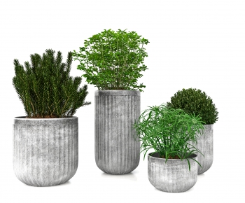 Modern Potted Green Plant-ID:224978924