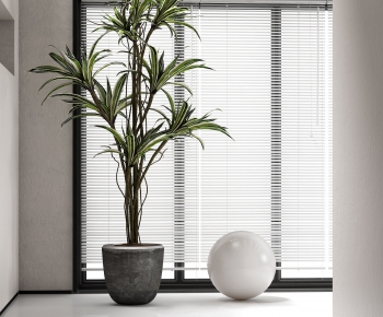 Modern Potted Green Plant-ID:863171102