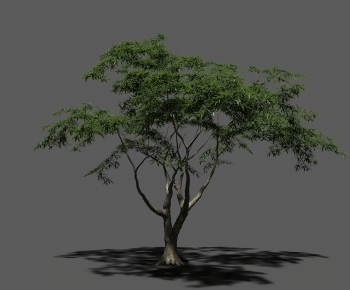 Modern Tree-ID:756541013