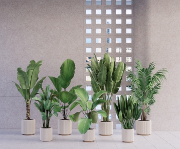 Modern Potted Green Plant-ID:388087994