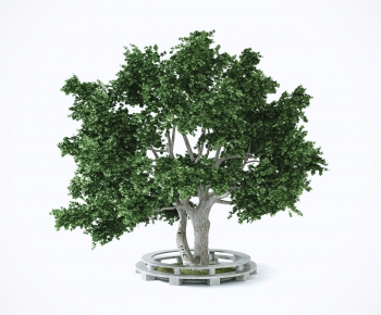 Modern Tree-ID:805536032