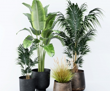 Modern Potted Green Plant-ID:881417041