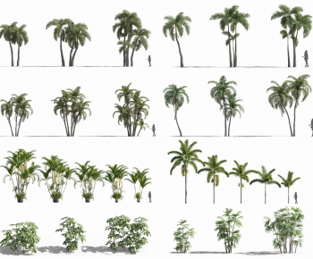 现代热带植物，树木组合-ID:357840066