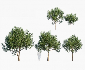 Modern Tree-ID:250507127