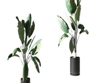 Modern Potted Green Plant-ID:760771994