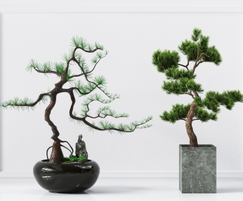 新中式松树植物盆栽组合-ID:181860974