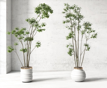 Modern Potted Green Plant-ID:255719904