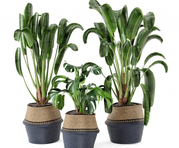 Modern Potted Green Plant-ID:689327001