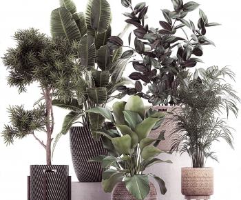 Modern Potted Green Plant-ID:472857958