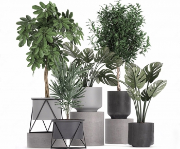 Modern Potted Green Plant-ID:376919985