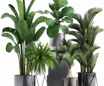 Modern Potted Green Plant-ID:653477919