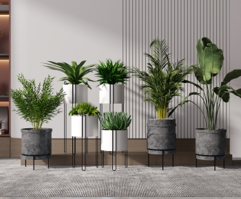 Modern Potted Green Plant-ID:956322918