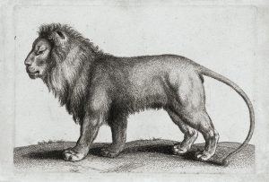 现代手绘狮子素描挂画-ID:123117925