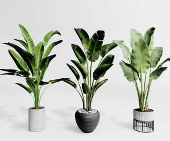 Modern Potted Green Plant-ID:452902088