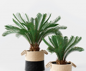 Modern Potted Green Plant-ID:123984109