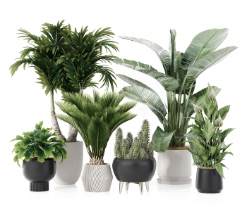 Modern Potted Green Plant-ID:273442988