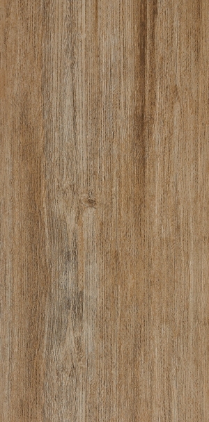 ModernOld Wood Texture