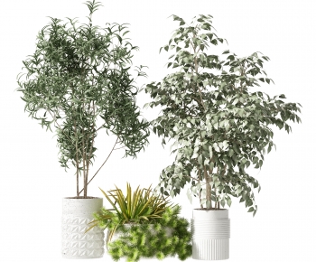 Modern Potted Green Plant-ID:978277925