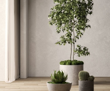 Modern Potted Green Plant-ID:517721892