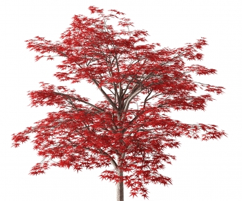 Modern Tree-ID:341042044